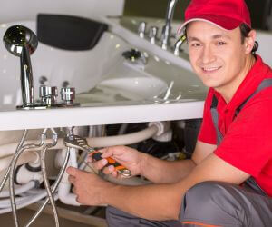 About Plumbers Pros Ethridge, MT